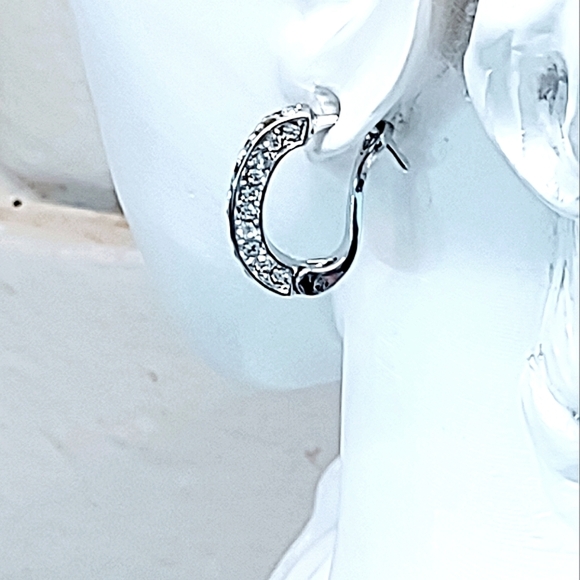 CUBIC ZIRCONIA SPARKLE HOOP STAINLESS STEEL EARRINGS - Picture 4 of 7
